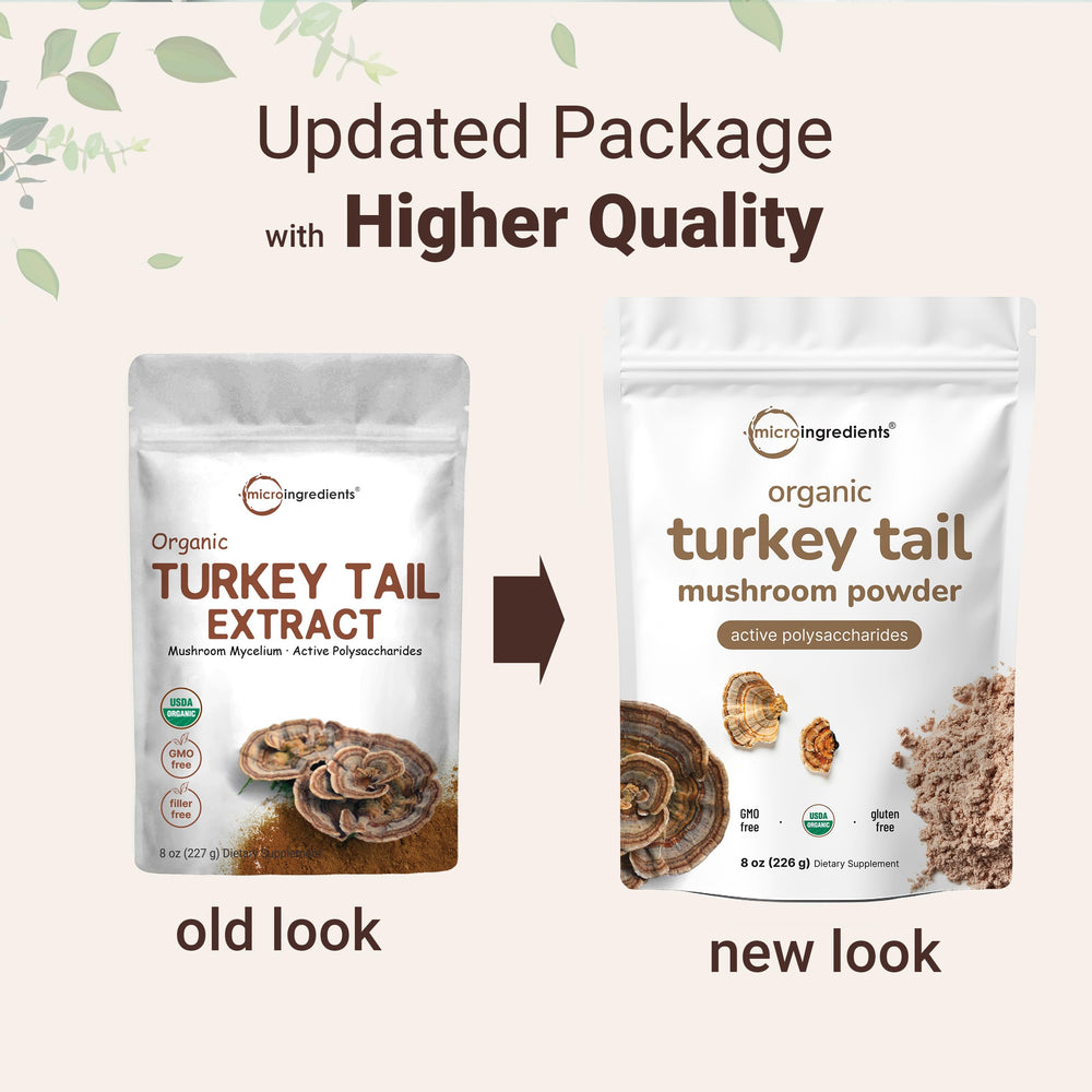 Micro Ingredients 50-1 extract turkey tail; concentrated powder for versatile mixing.