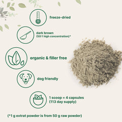 Micro Ingredients active polysaccharides turkey tail powder supports cellular-level nutrition.