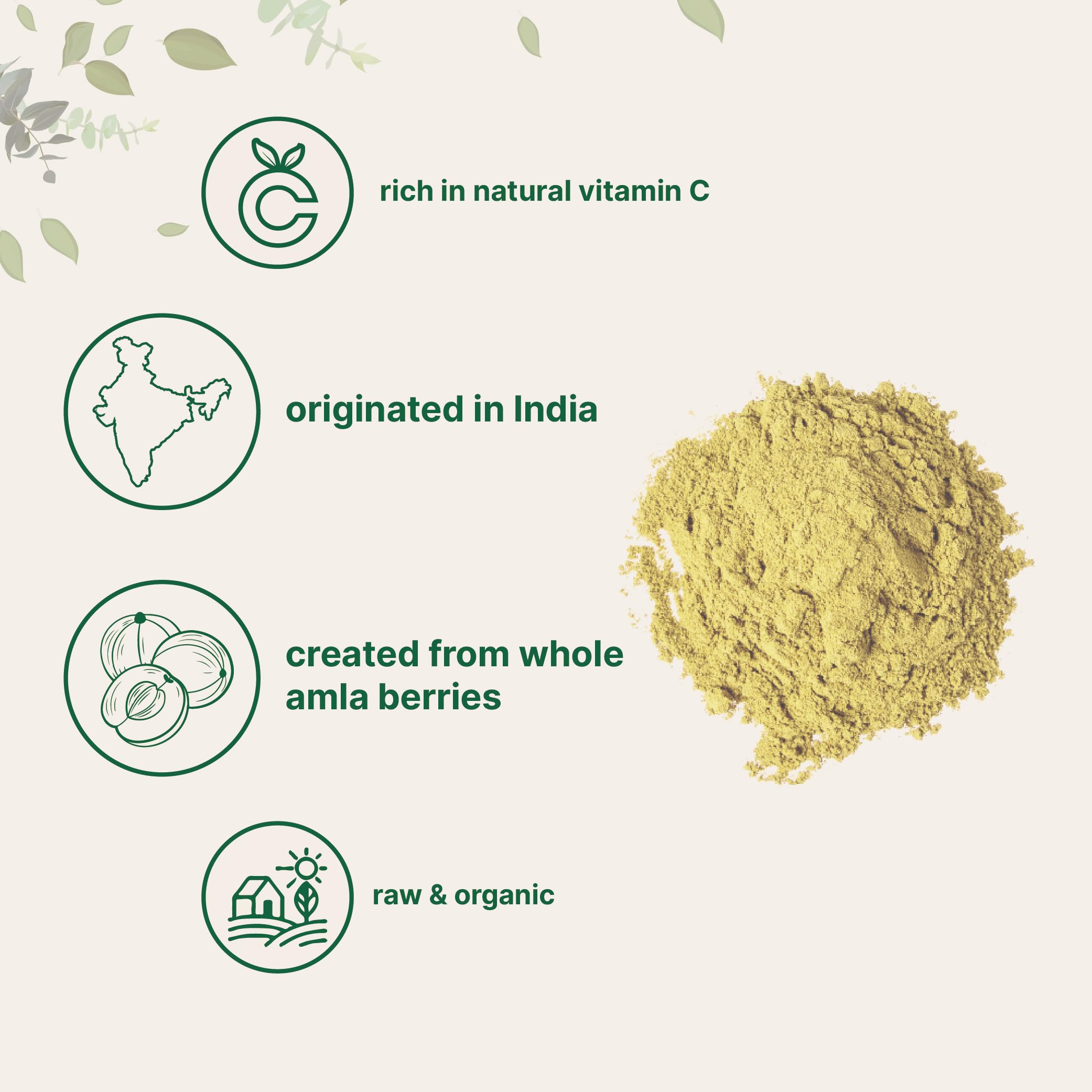 Front view of Micro Ingredients amla powder bottle, vegan and keto friendly.