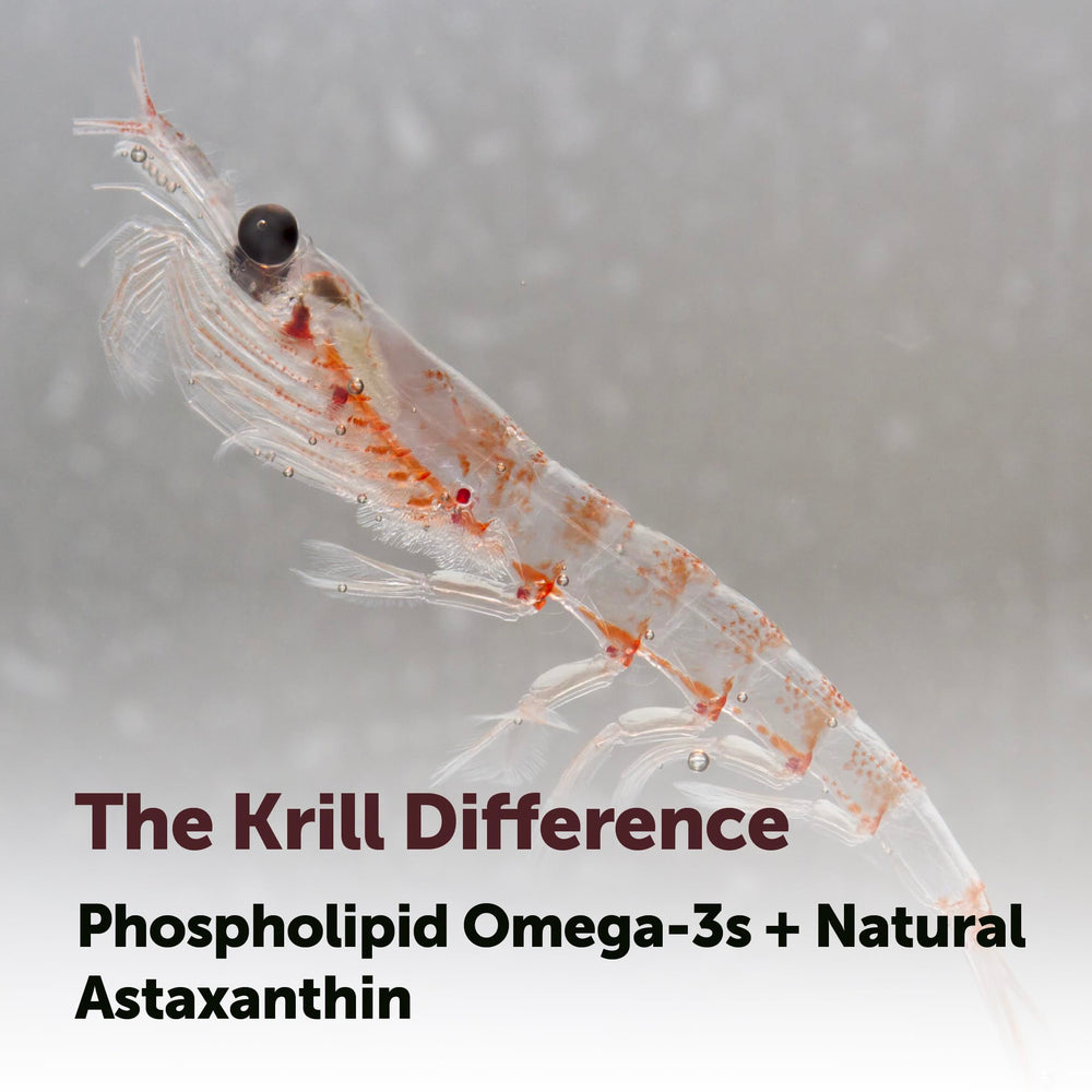Micro Ingredients krill oil capsule image showcasing EPA and DHA benefits.