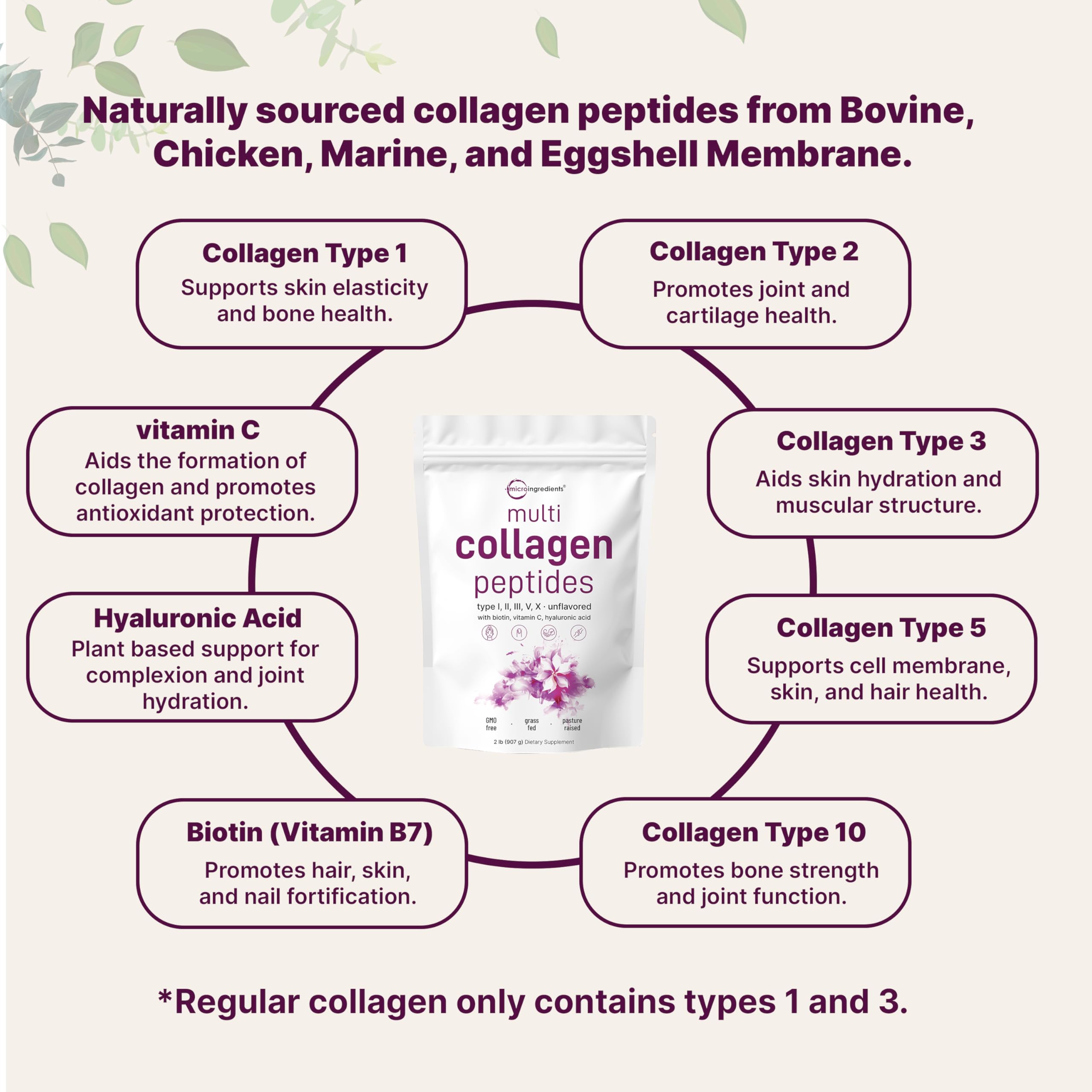 Biotin 10000mcg included for potential beauty-supporting use