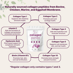 Biotin 10,000 mcg panel emphasizes daily nutrient support