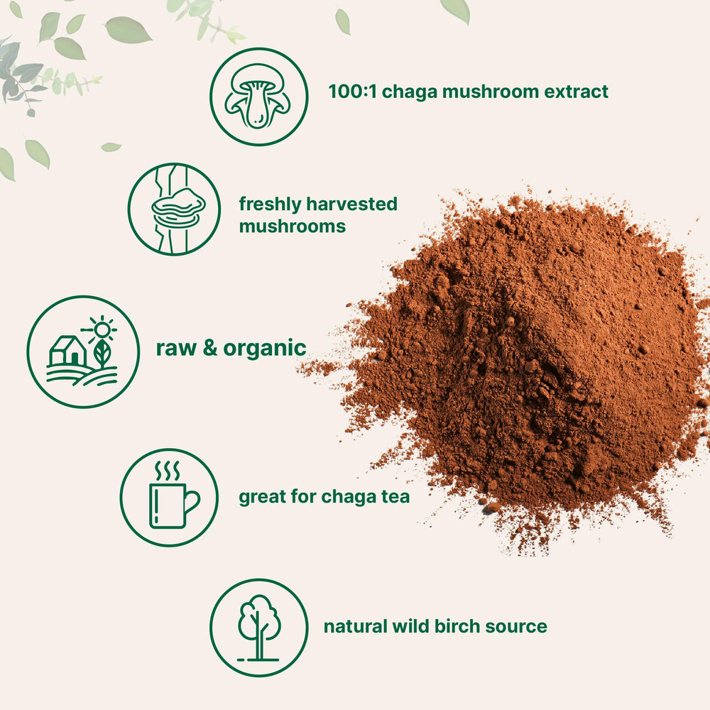 Micro Ingredients Chaga extract added to smoothie for an antioxidant-rich boost.