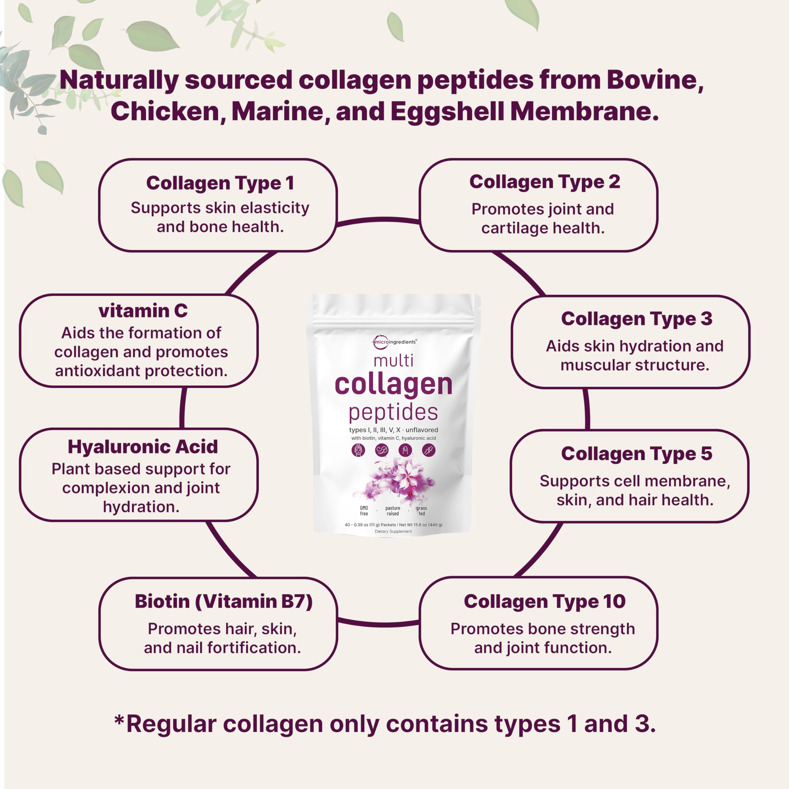 Micro Ingredients collagen types I II III V X included for comprehensive support.