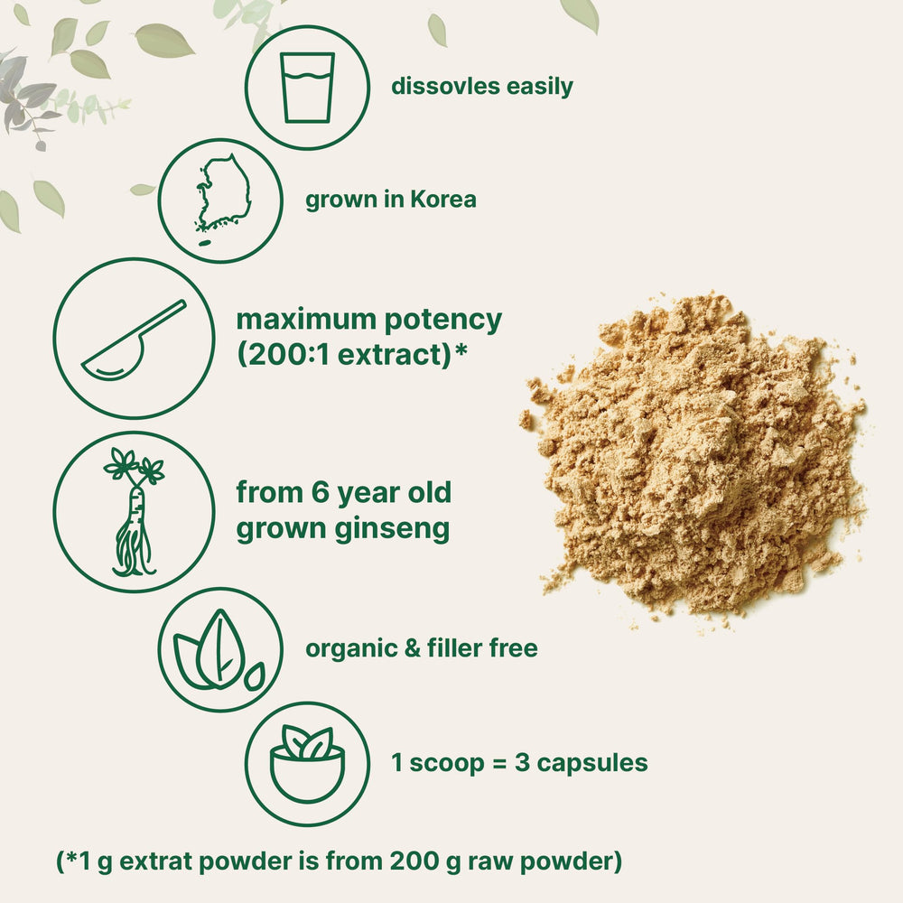 Micro Ingredients ginseng powder jar close-up with high ginsenosides.