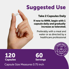 Micro Ingredients NMN Complex ingredient blend highlights antioxidants and cofactors.