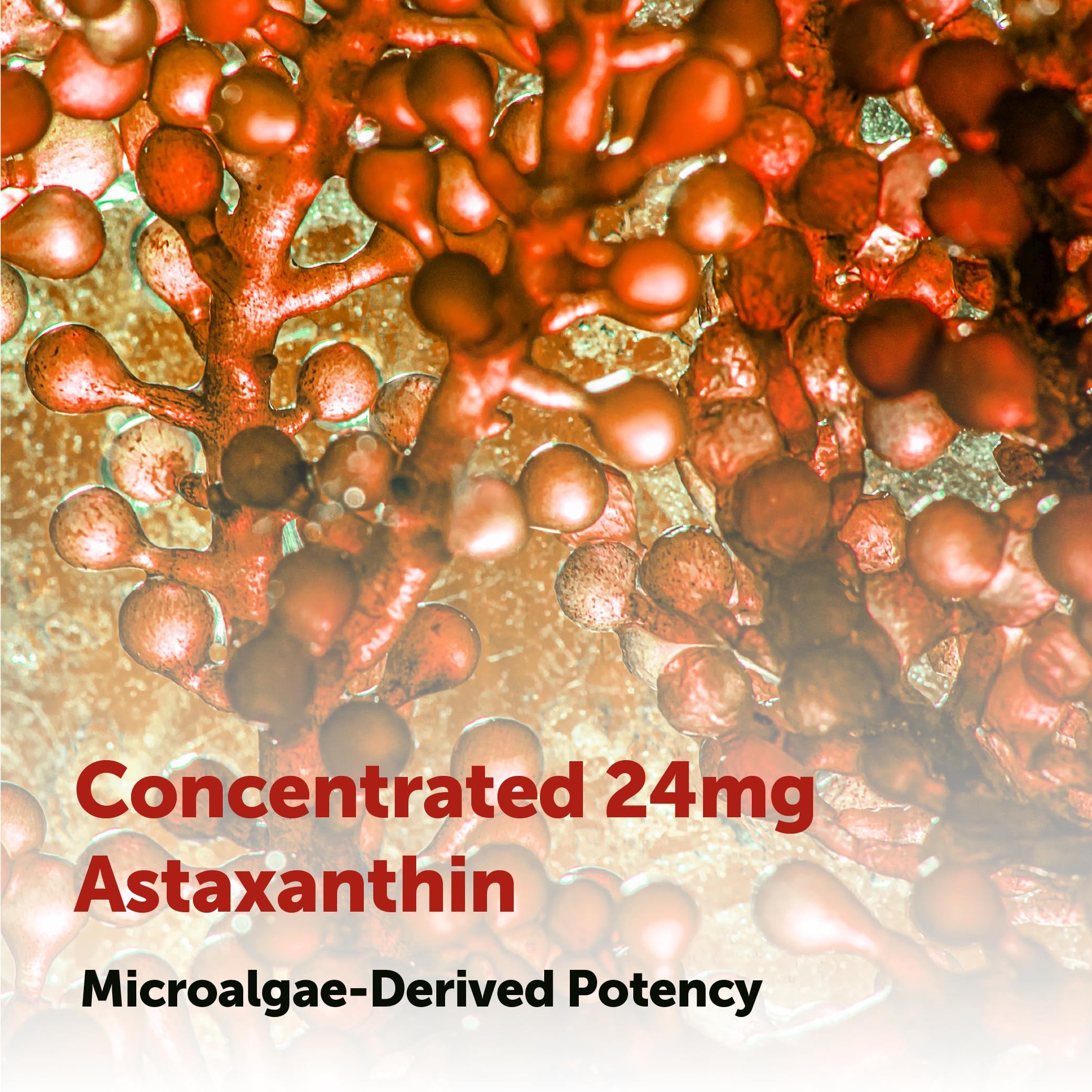Micro Ingredients packaging image shows 60-softgel supply for convenience.