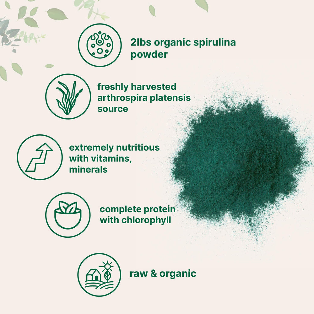 Micro Ingredients spirulina powder vibrant green powder with clean aroma.