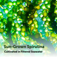 Micro Ingredients spirulina tablets nutrition panel displays vitamins and minerals