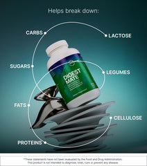 DigestMate ingredient list graphic emphasizing enzymes and spores