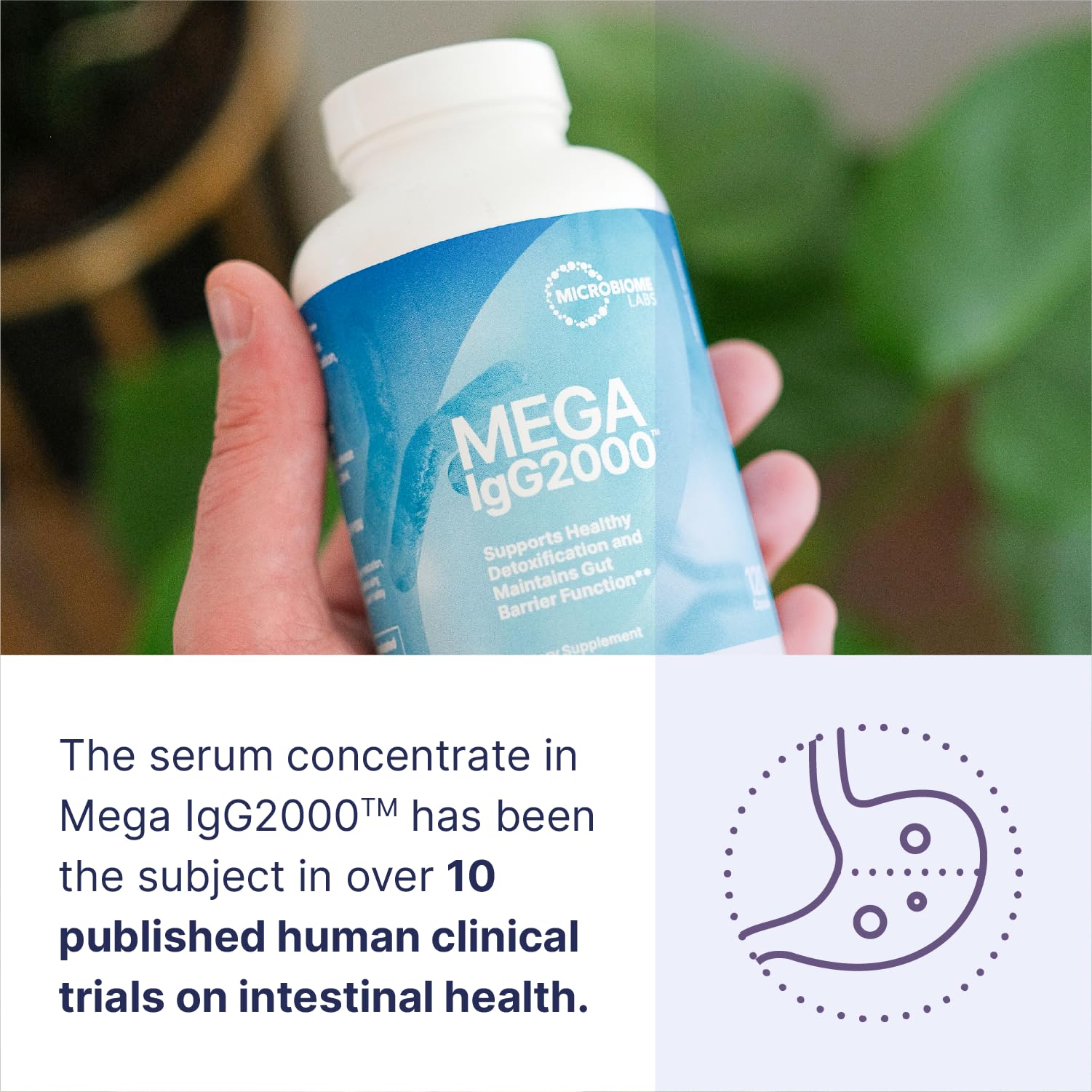 Mega IgG2000 packaging – clearly dairy-free, suitable for lactose-free diets.