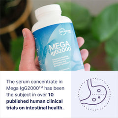 Mega IgG2000 packaging – clearly dairy-free, suitable for lactose-free diets.