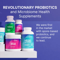 Digestive comfort vibe with MegaSporeBiotic on a clean counter.