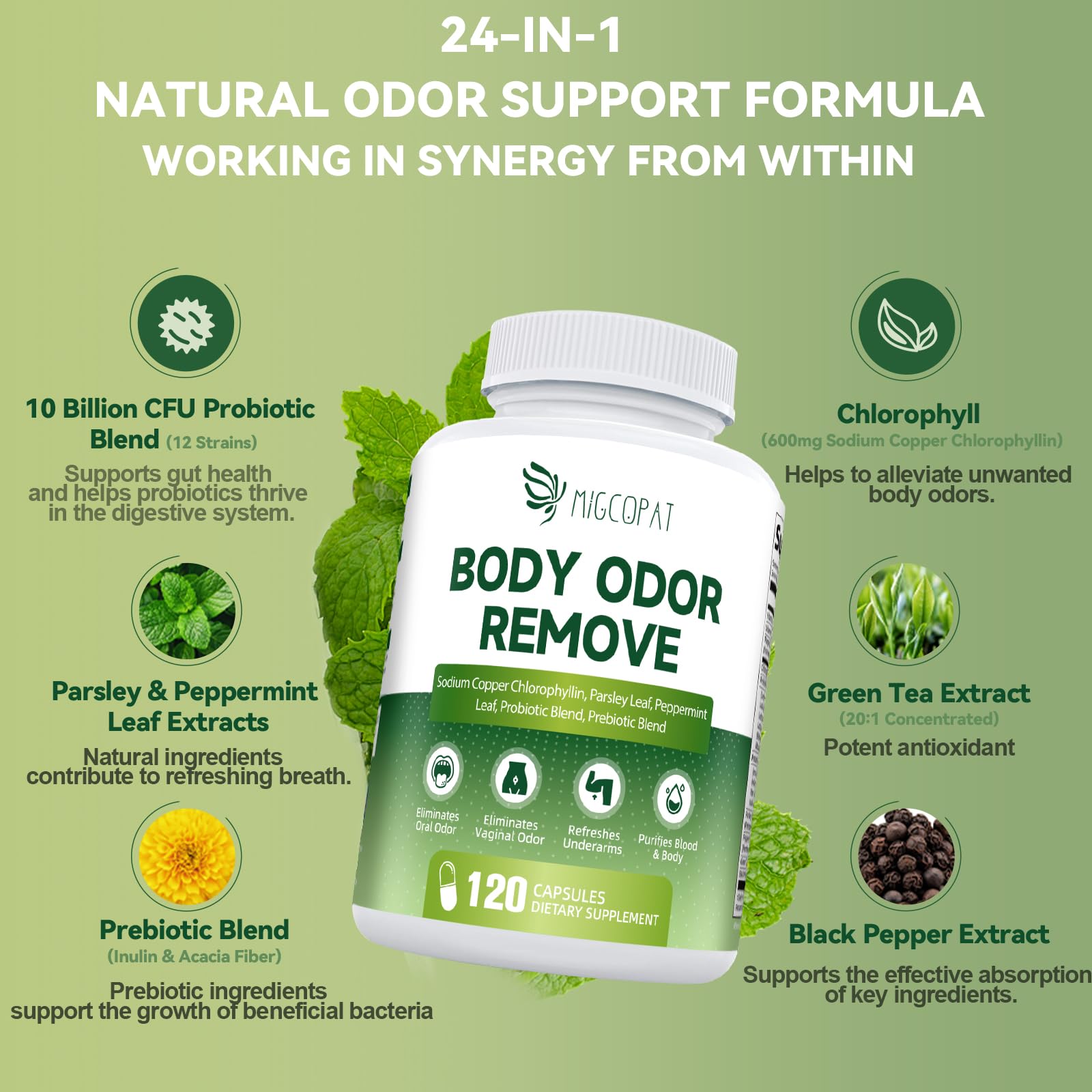 Migcopat parsley and peppermint extracts featured in the formula.