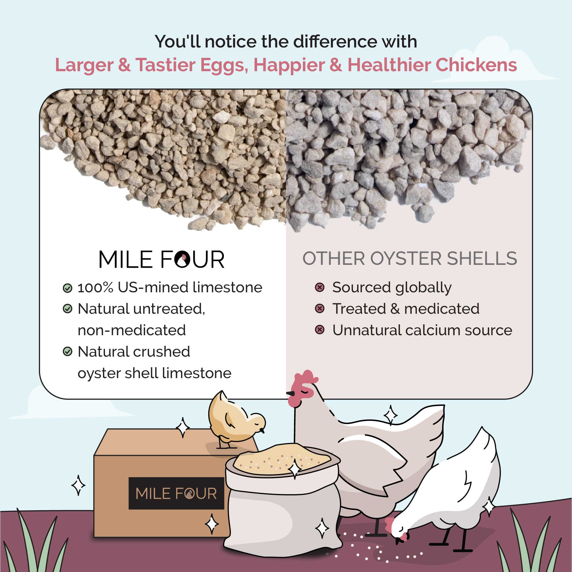 Mile Four oyster shell bone-boost scene with hens.