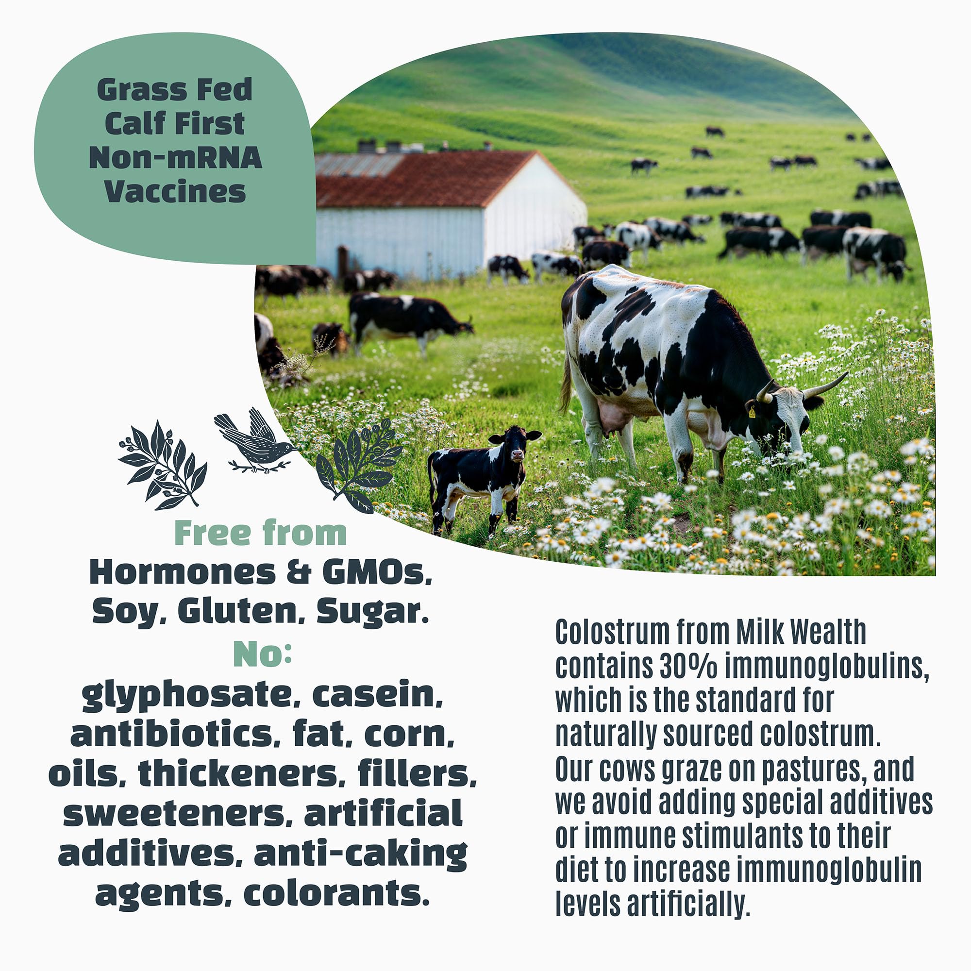 Milk Wealth ideal for athletic recovery and daily energy support