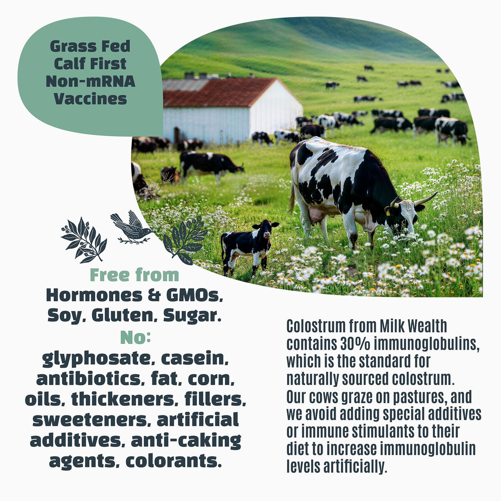 Milk Wealth ideal for athletic recovery and daily energy support
