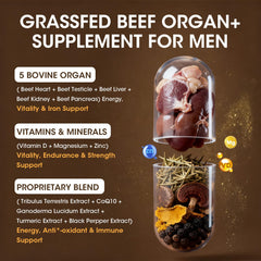 Minch beef liver capsules close-up emphasizing immune support and iron.