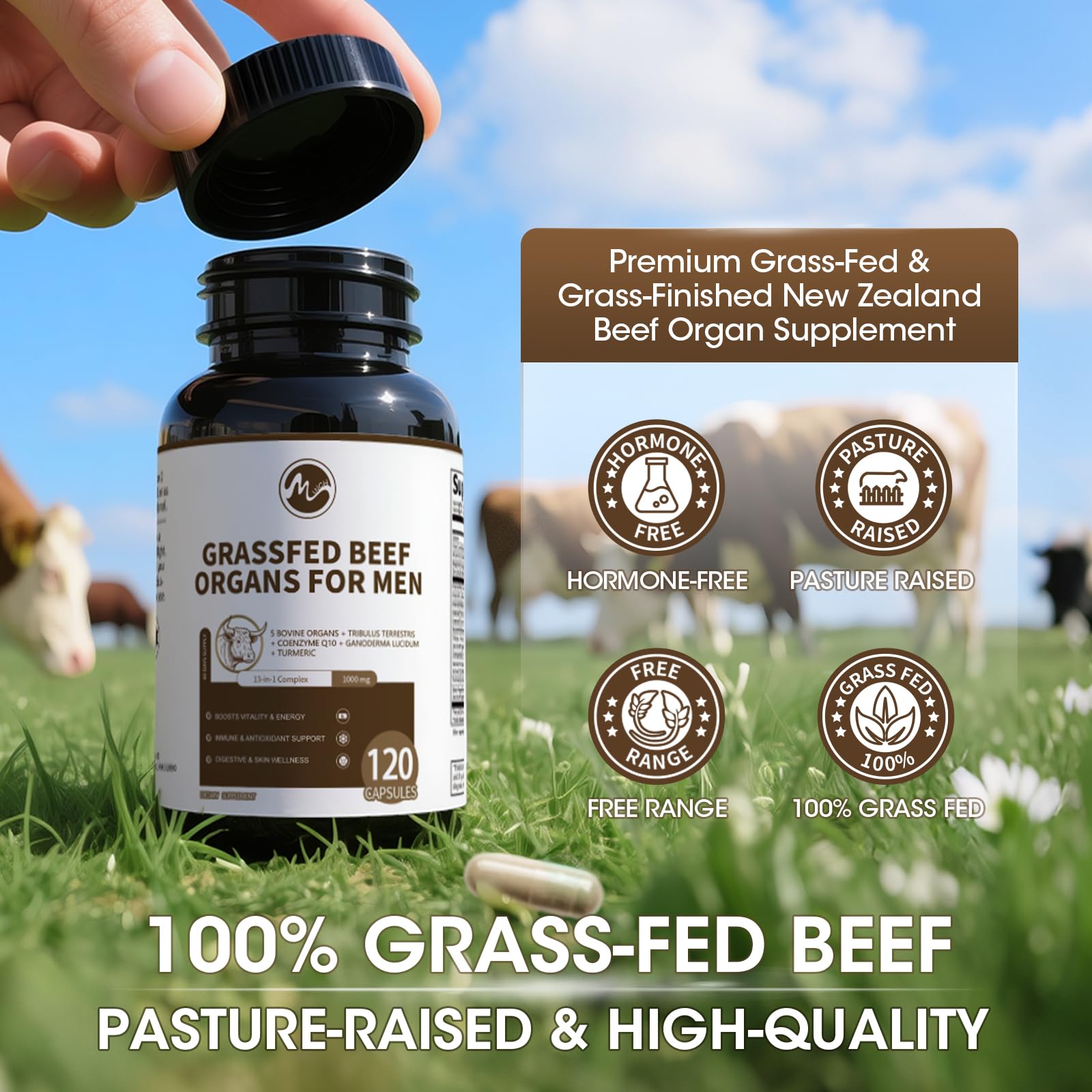 Minch beef pancreas capsules close-up showing digestive support potential.