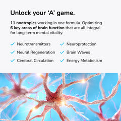 Mind Lab Pro capsules close-up, showcasing vegan formula for sustained focus