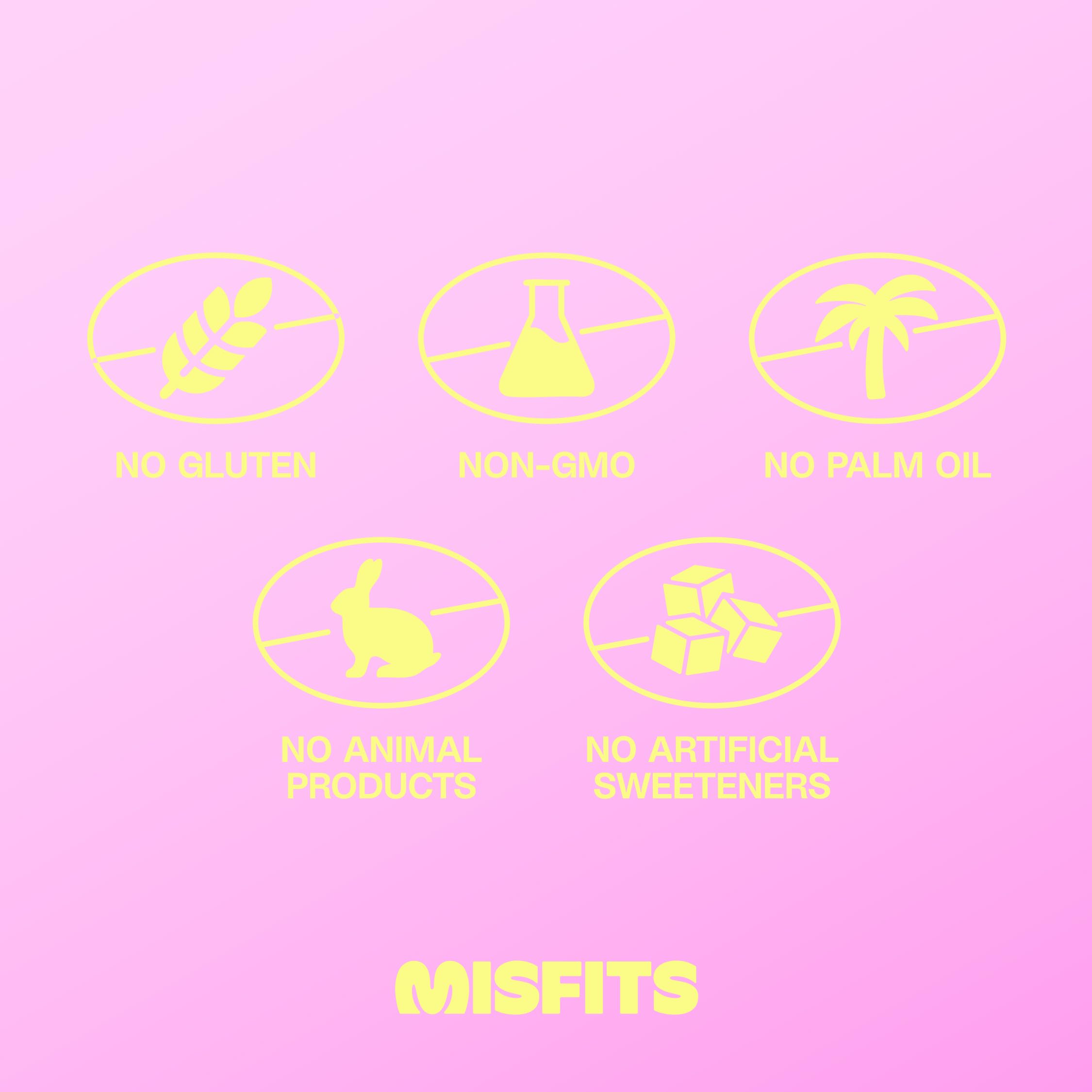 Misfits vegan protein bars packaging showcases a 12-pack.