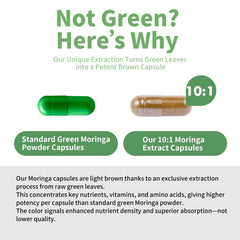 MISS PEP Moringa capsules close-up reveals vivid green color