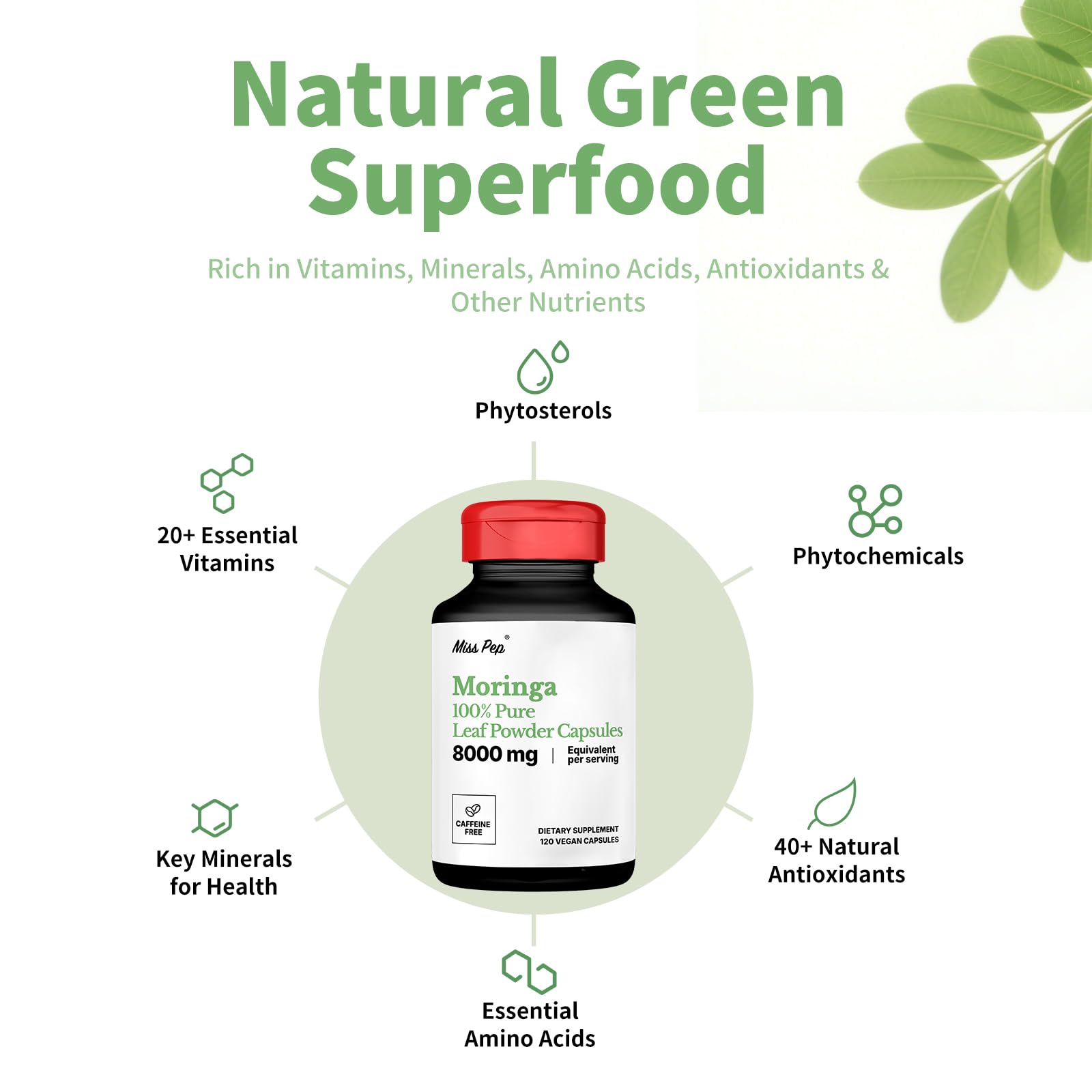 MISS PEP Moringa 10:1 extract graphic communicates high potency