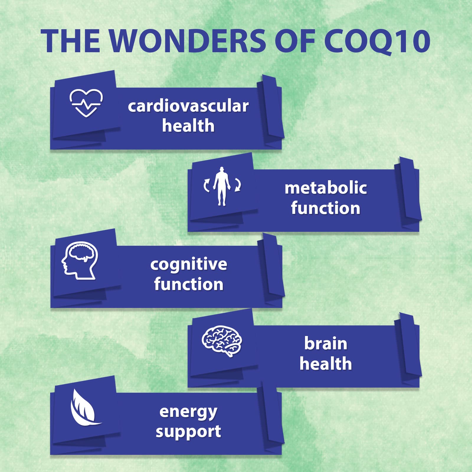 Mistaccy CoQ10 ubiquinol Curdisol QR label back reveals ingredient transparency