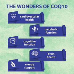 Mistaccy CoQ10 ubiquinol Curdisol QR label back reveals ingredient transparency