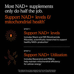 MitoQ NAD+ Dual Action capsules close-up showing easy-to-swallow form.