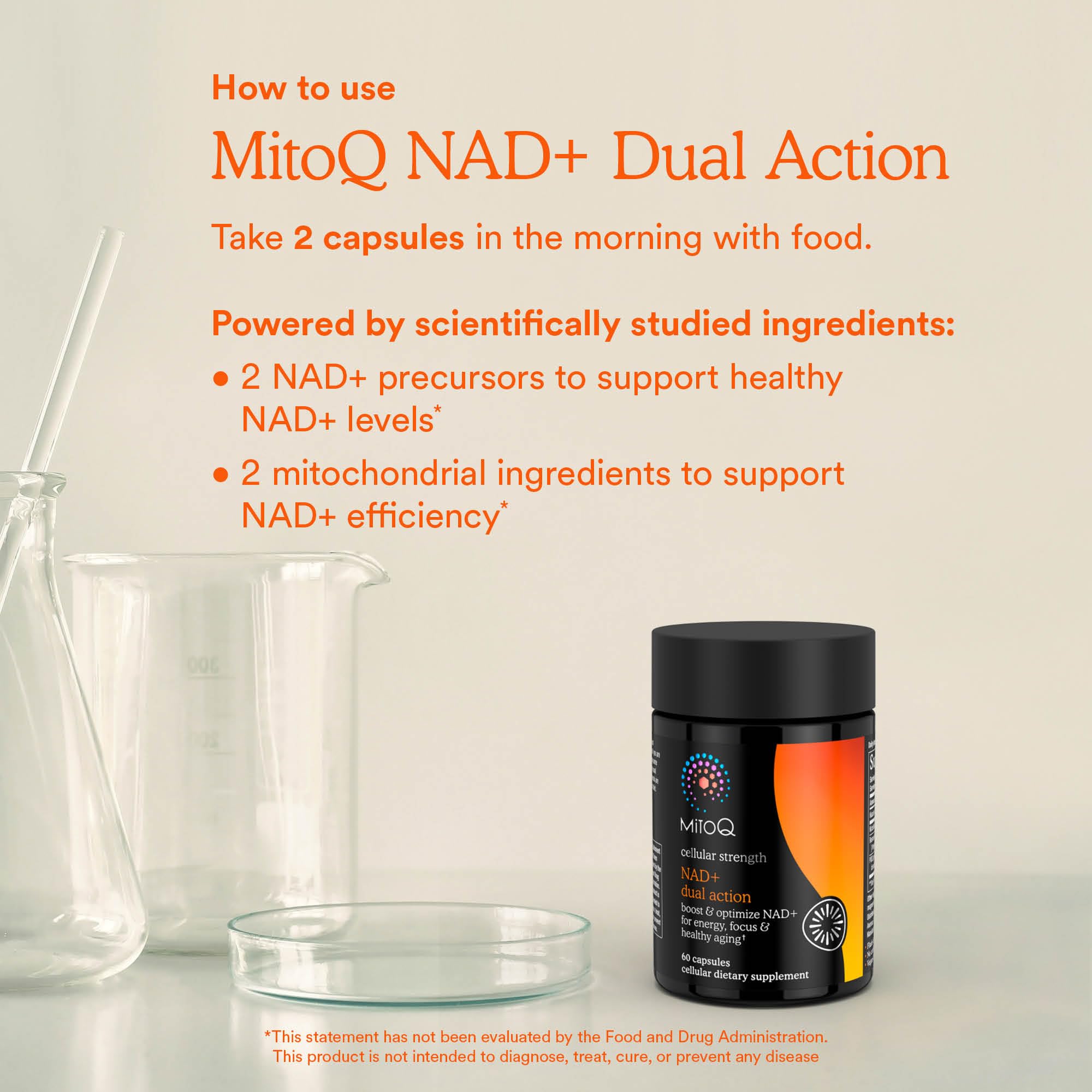 MitoQ NAD+ Dual Action daily-use scene in morning routine.