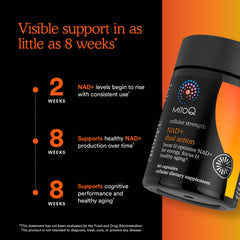 MitoQ NAD+ Dual Action energy graph suggests cellular energy support.
