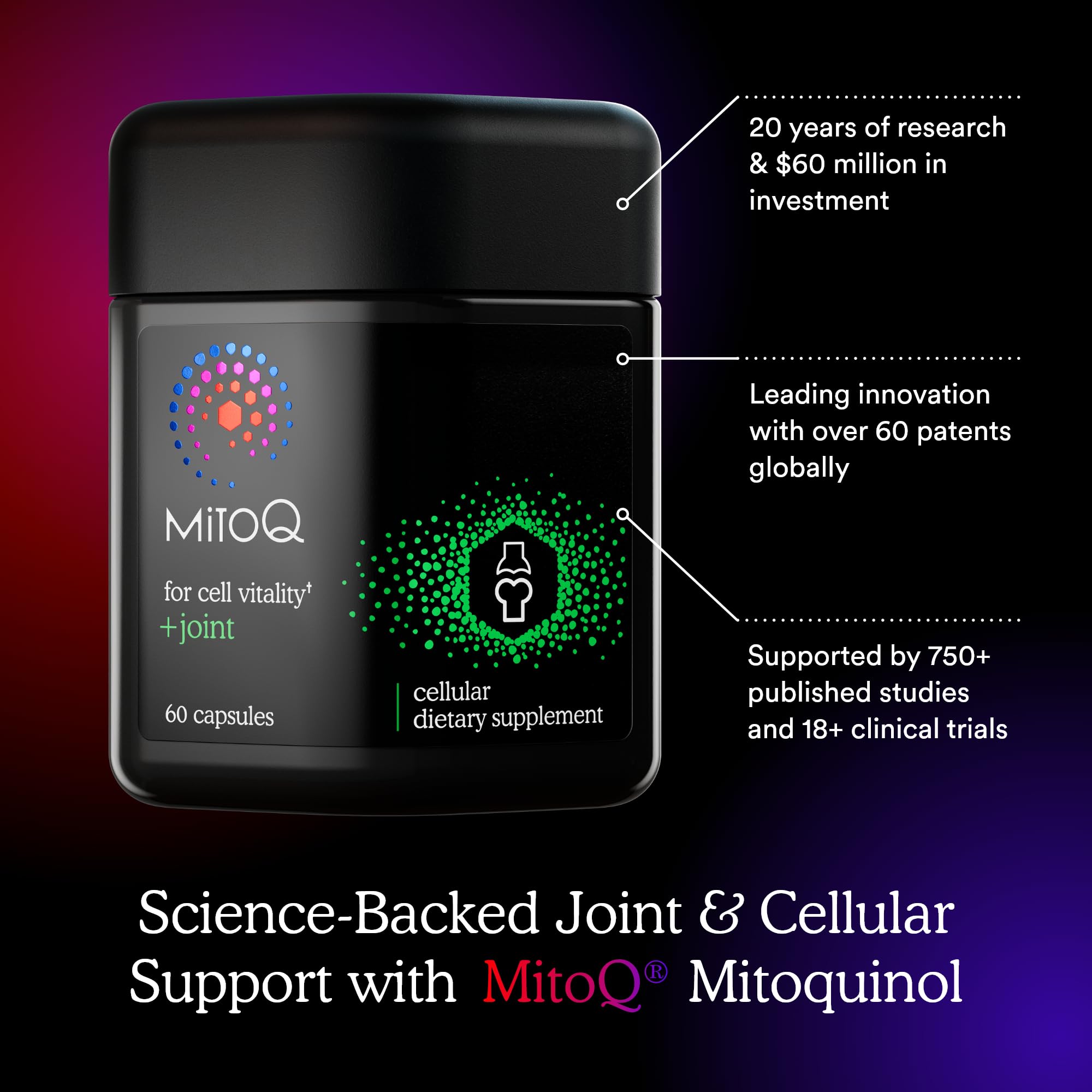MitoQ +Joint with Green Lipped Mussel Extract supports joints and mobility