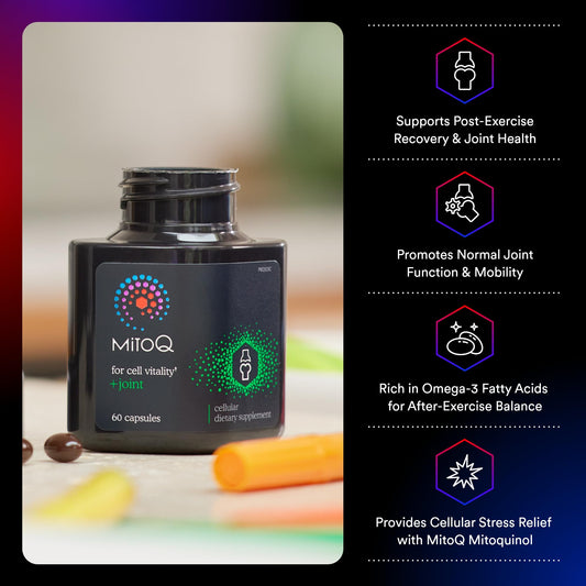 MitoQ +Joint mitochondria illustration showing targeted antioxidant protection