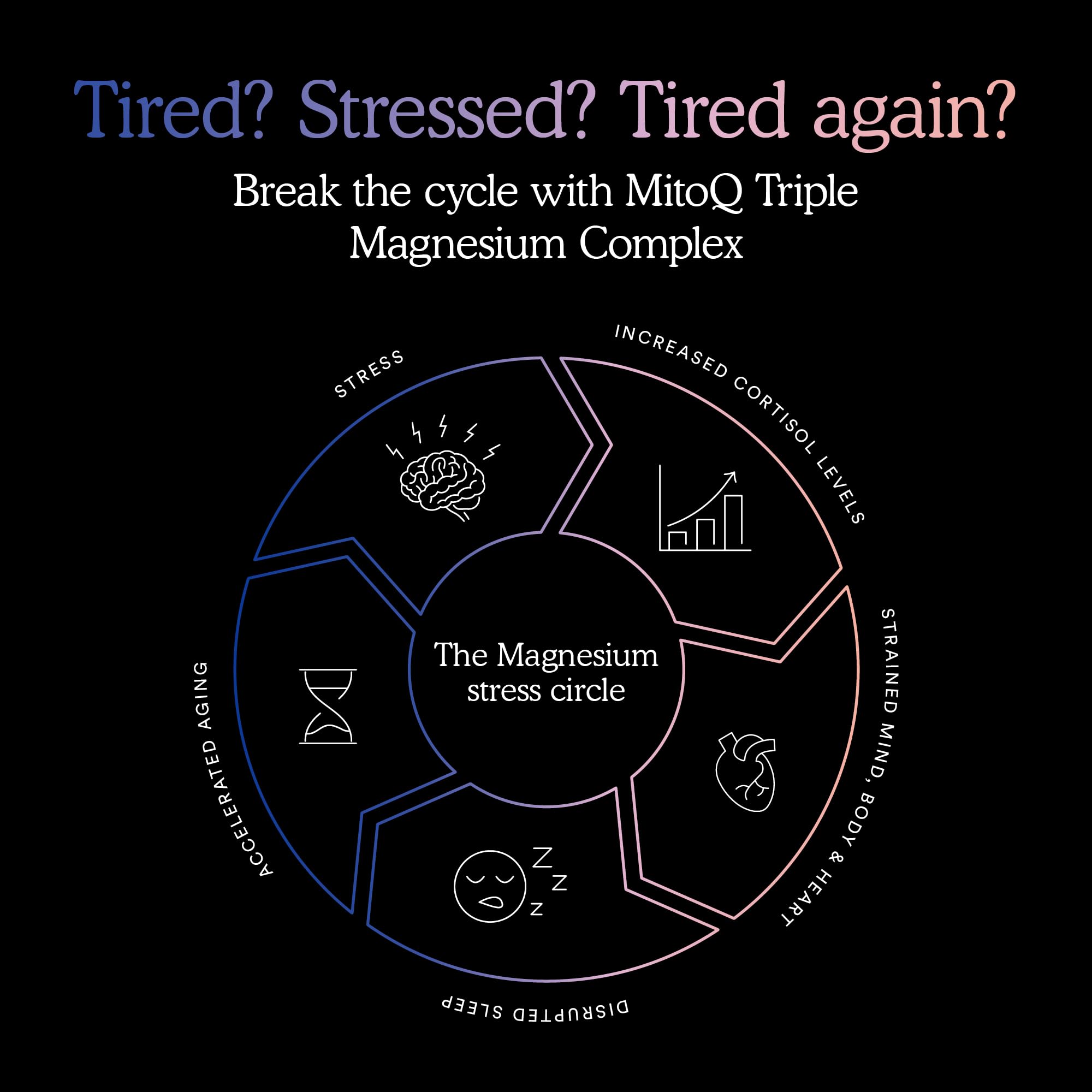 MitoQ Triple Magnesium sleep scene suggests deep, restful nights.