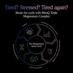 MitoQ Triple Magnesium sleep scene suggests deep, restful nights.
