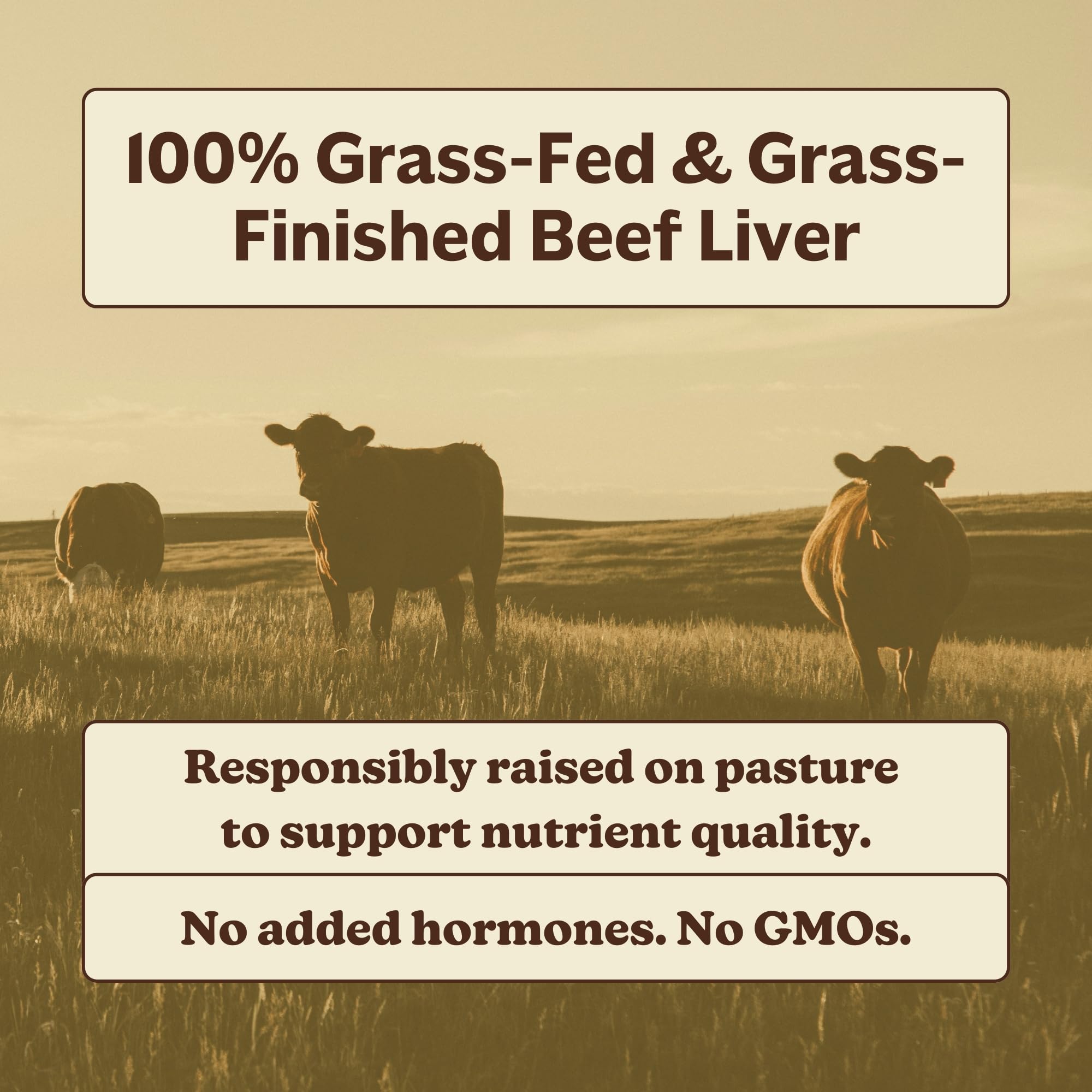 MK Supplements Grass Fed Beef Liver packaging eco-friendly design