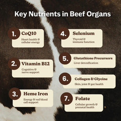 Packaging of MK Supplements Grass-Fed Beef Organ in a labeled glass bottle