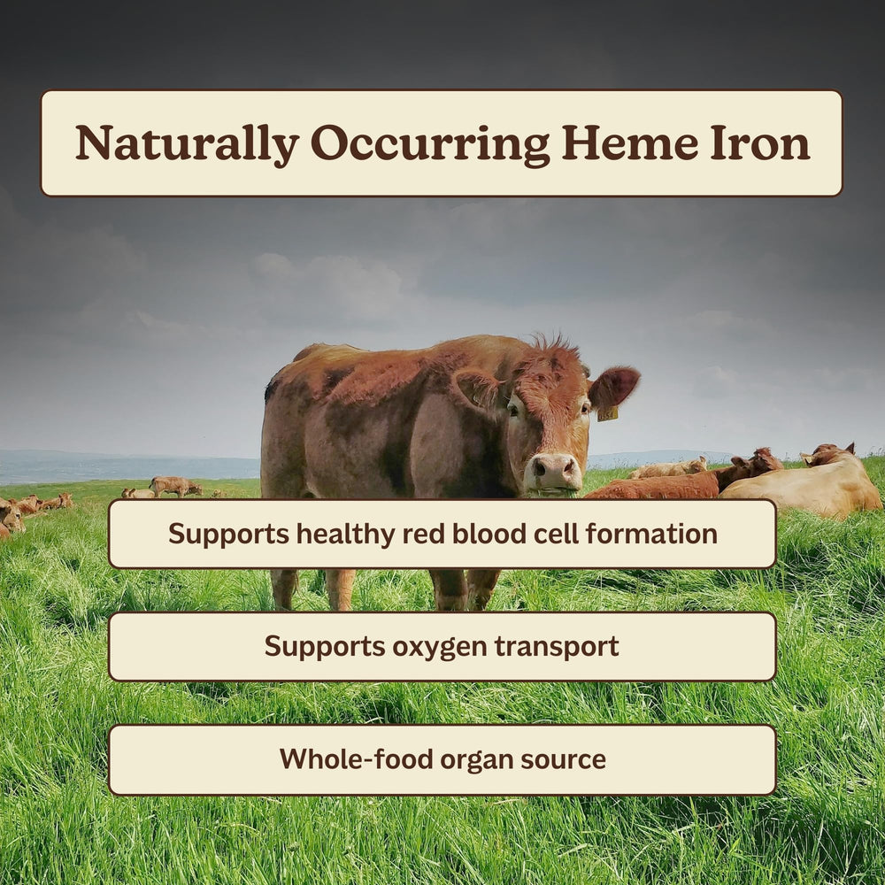 MK Supplements Ironclad beef spleen freeze-dried slices depict rich heme iron
