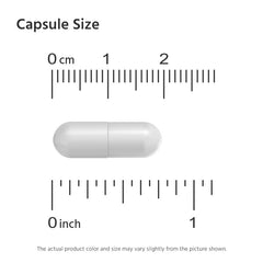 ML Naturals Lactoferrin display suggesting daily iron absorption support.