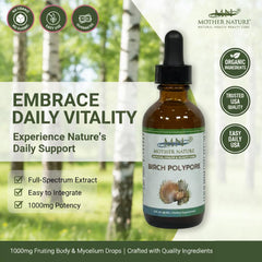 Mn Mother Nature forest birch source highlights natural origin of birch polypore