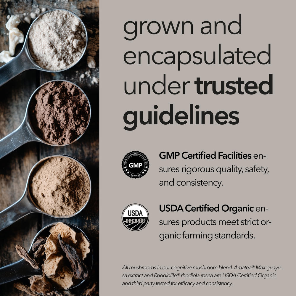 Mobisyn capsules close-up highlighting vegan non-GMO formula