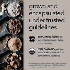Mobisyn capsules close-up highlighting vegan non-GMO formula