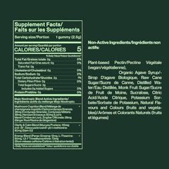 Mojo Extra Strength gummies bottle with ginger root for steady energy