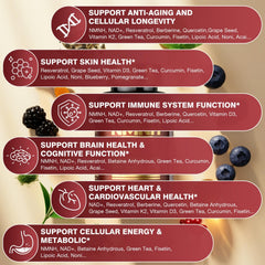 Molorik Pure ingredients icons illustrating brain and immune support.