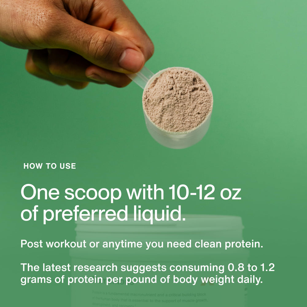Momentous ProHydroase enzyme blend tub close-up supports digestion and absorption.