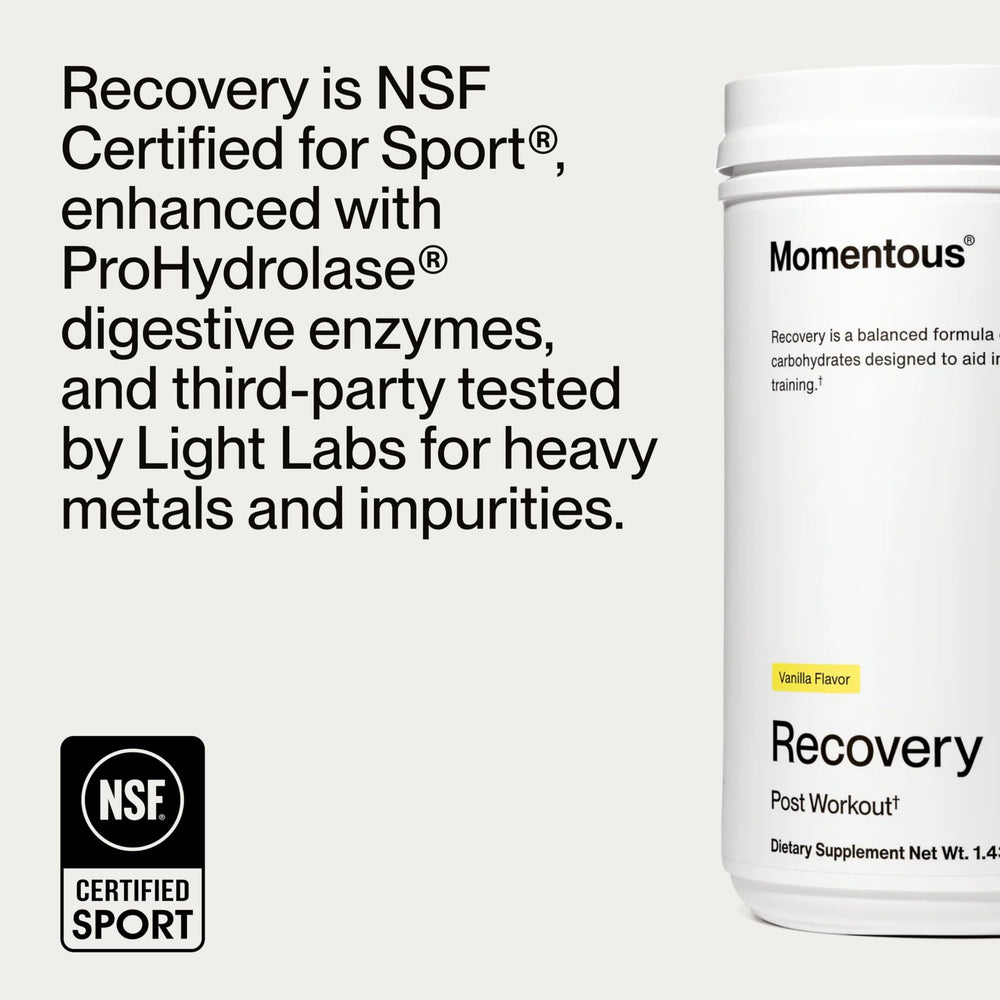 Momentous Recovery ProHydrolase digestive-enzyme close-up suggests enhanced digestion and absorption potential.