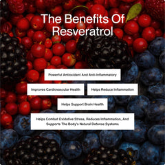 Momentous Resveratrol label displaying ingredients and usage guidance