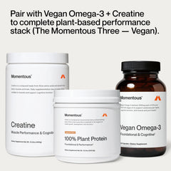 Momentous Vegan Protein Powder Cappuccino label close-up highlighting NSF