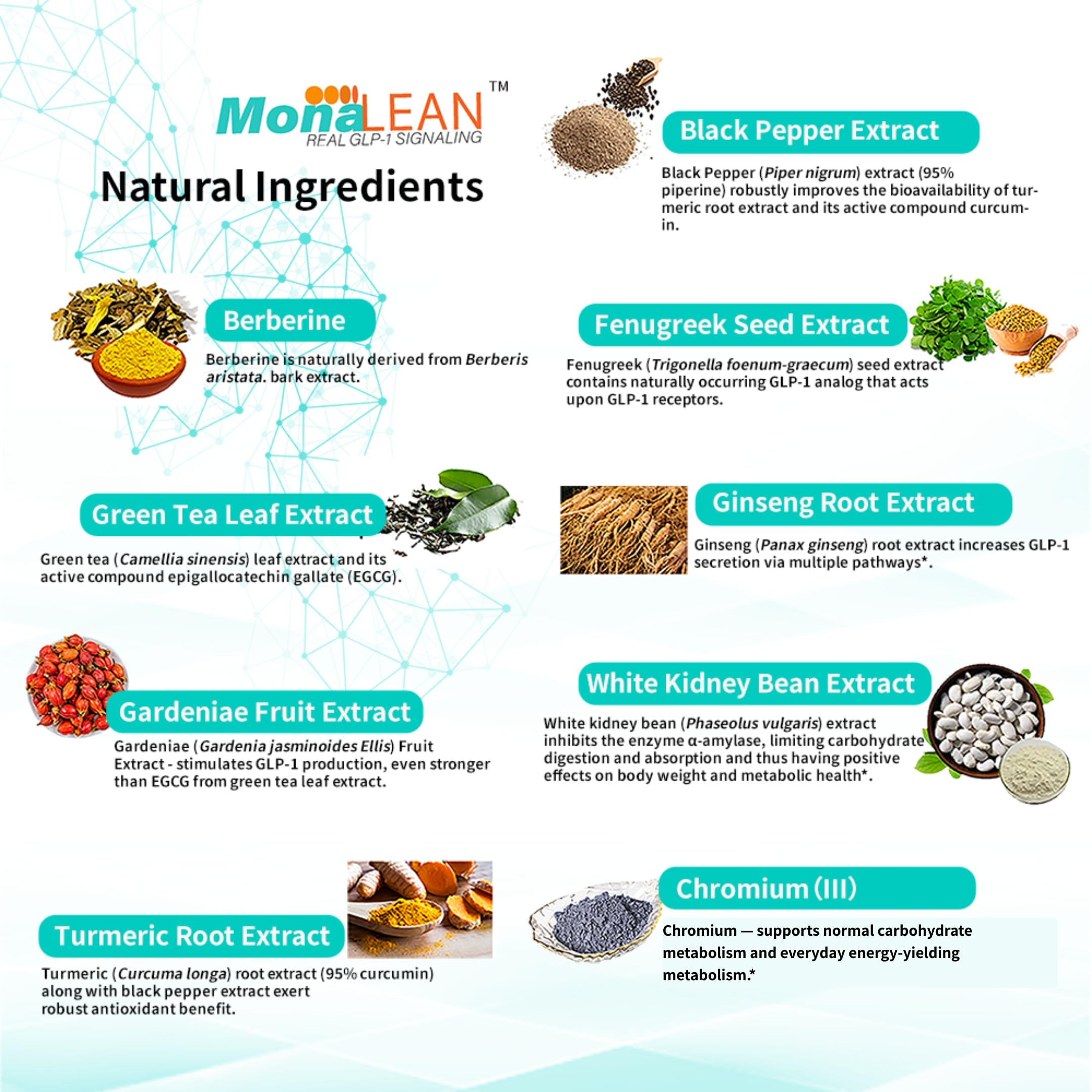MonaLean Theramone gluten-free label indicating dietary compatibility.